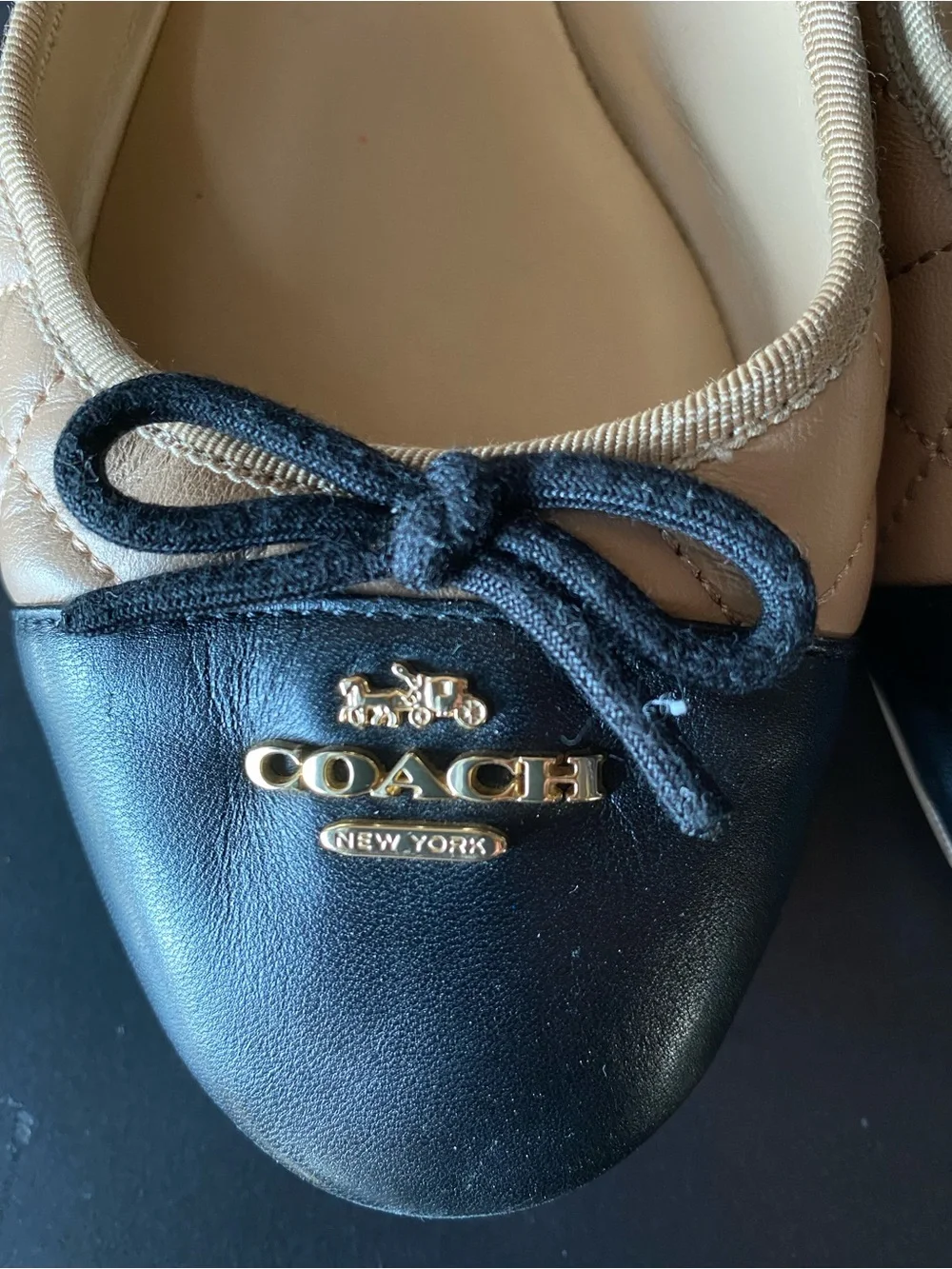 Coach stylish ballet
